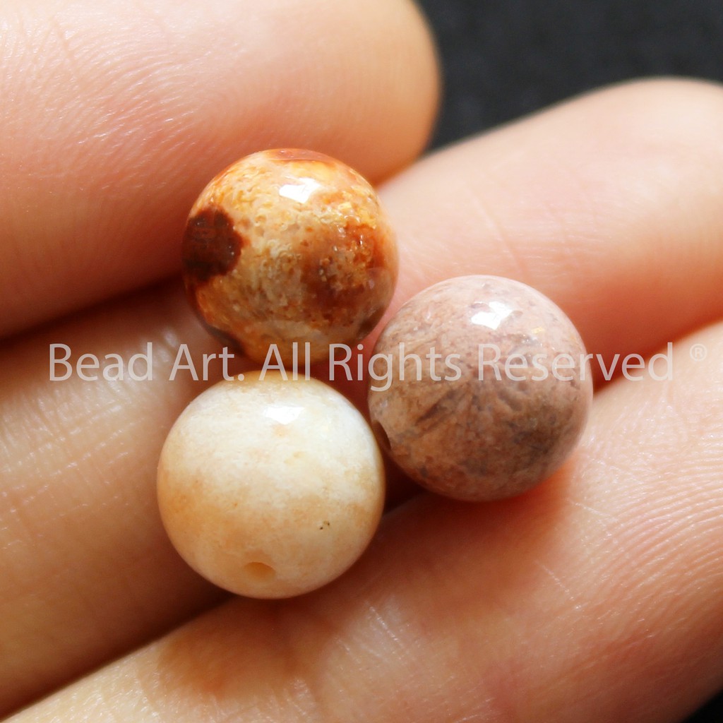 8MM San Hô Hoá Thạch Loại A, Dạng Tròn, Tông Đỏ, Đá Phong Thuỷ, Chuỗi Hạt S14
