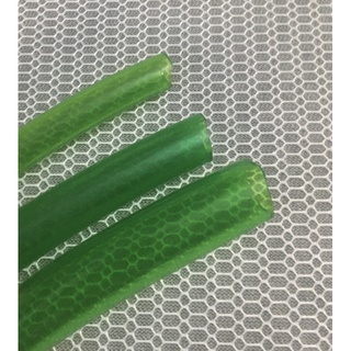 Ống nước mềm phi 12/16/20