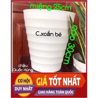 5 Cái Chậu nhựa tròn cao xoắn trồng cây,trồng hoa