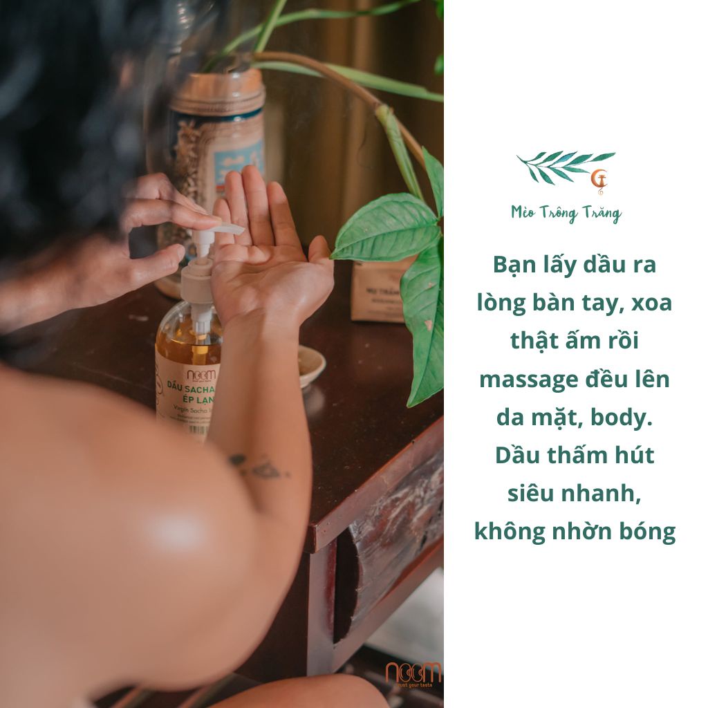 Dầu sachi/ sacha inchi ép lạnh Noom giúp dưỡng da, bổ sung dinh dưỡng