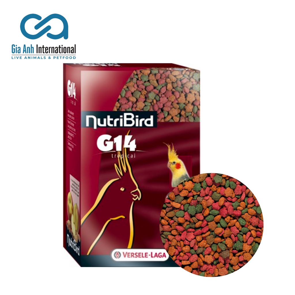 Hỗn Hợp Trái Cây Dành Cho Vẹt Xám, Cookatiel, Macaw - Versele-Laga NutriBird G14 Lợi Đường Ruột Gói 100g-500g