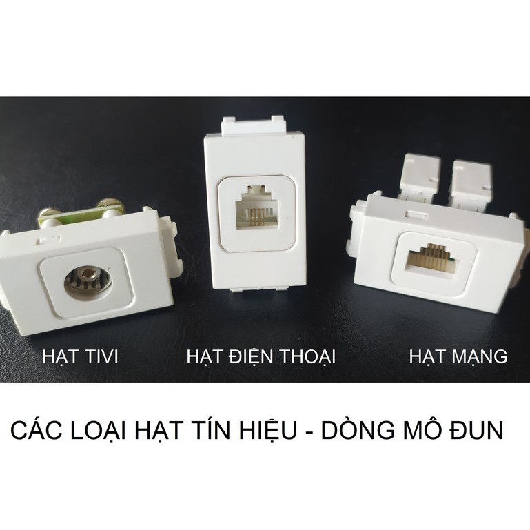 CÁC HẠT TÍN HIỆU LiOA - MÔ ĐUN