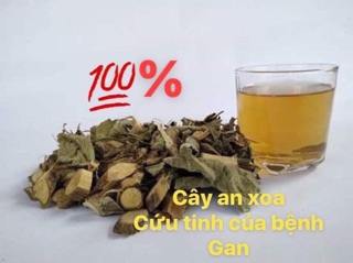 1kg. An xoa trị bệnh gan