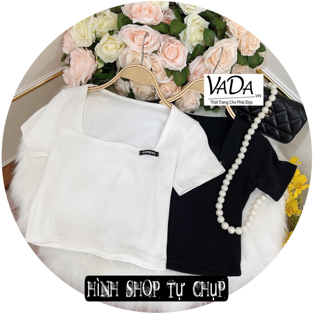 Áo Thun tay ngắn Phối chữ  cổ vuông  chất thun Gân tăm dày dặn xinh đẹp -Thời Trang VADA (AT5)