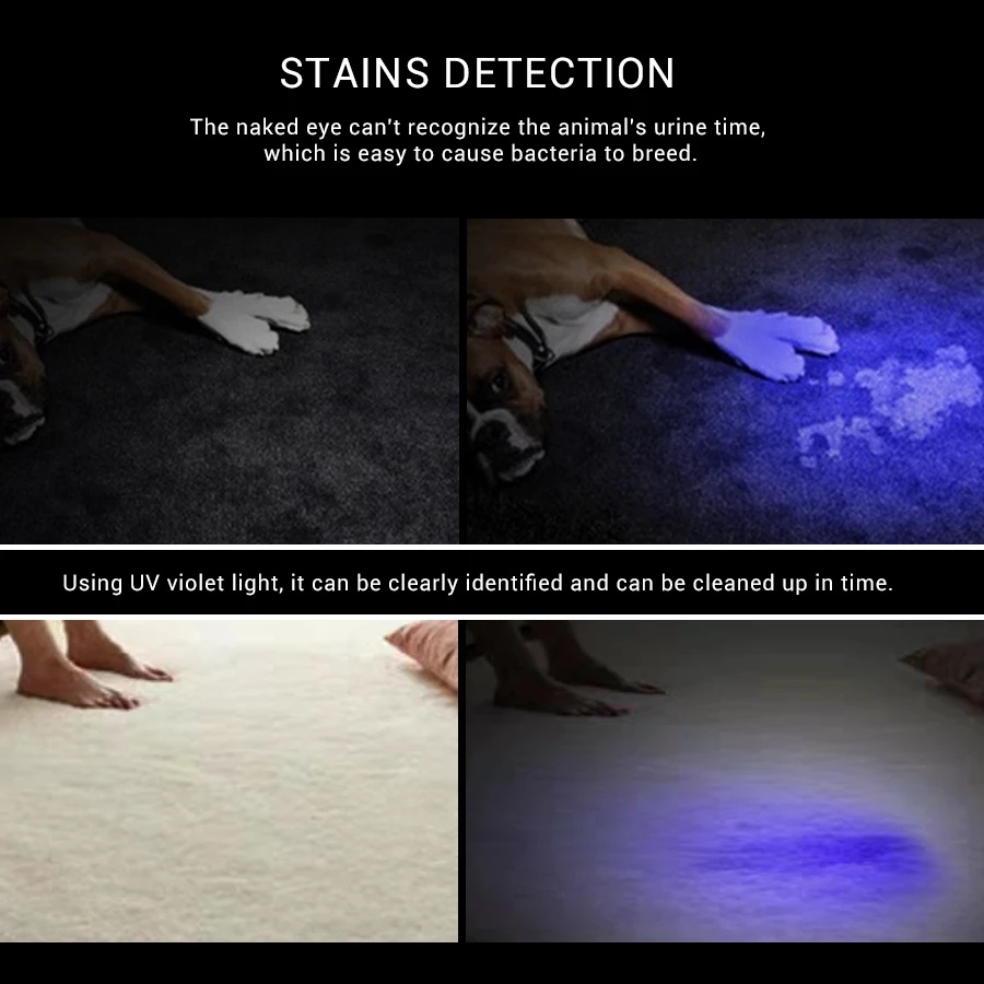 Đèn Pin LED UV Mini Màu Đen Có Chức Năng Phóng To Chống Tia Cực Tím / Tia UV Cho Thú Cưng