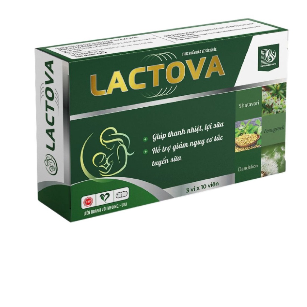 LACTOVA – Giúp thanh nhiệt lợi sữa, hỗ trợ giảm nguy cơ tắc tuyến sữa ở phụ nữ sau sinh (30 viên)