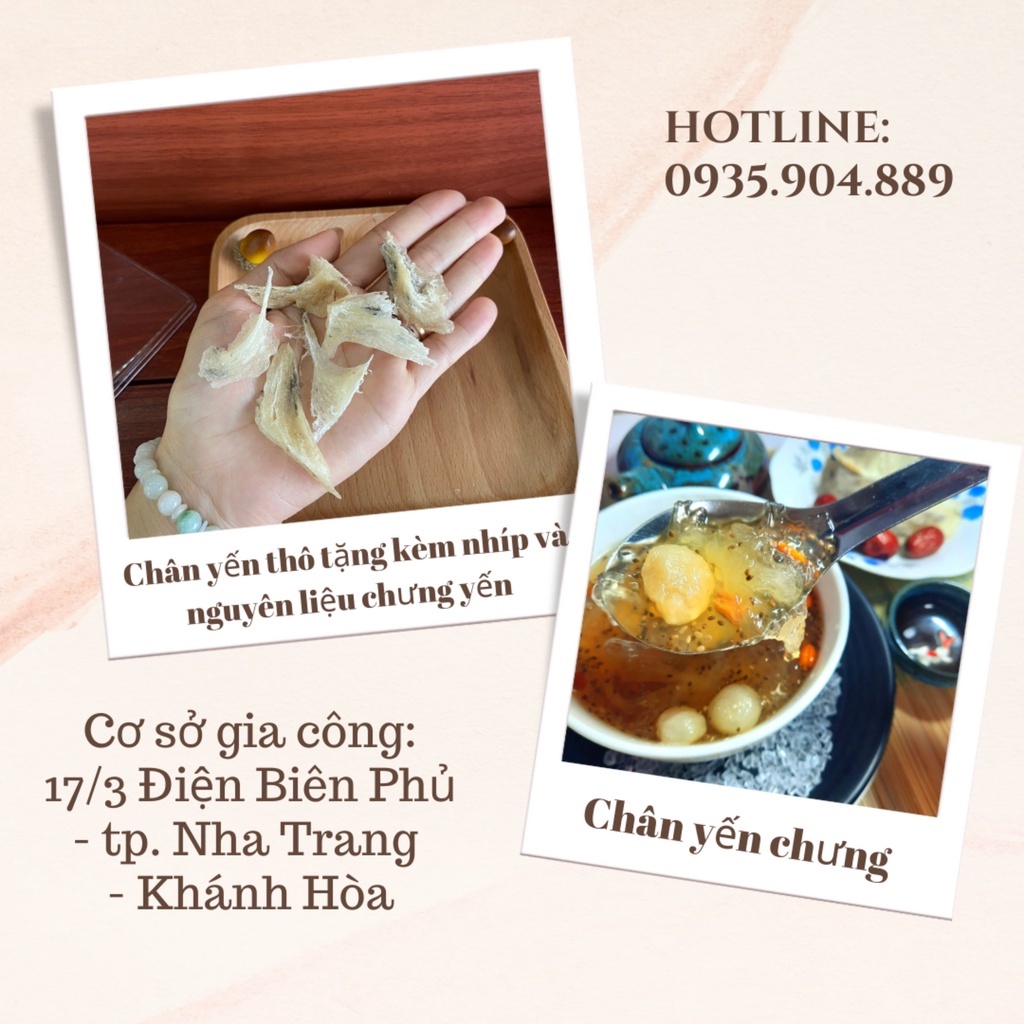 100gr Chân yến thô già nguyên chất - Tặng Nhíp và đồ chưng