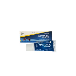 Combo bả diệt chuột Racumin Paste + Gel diệt Gián Maxforce 20g
