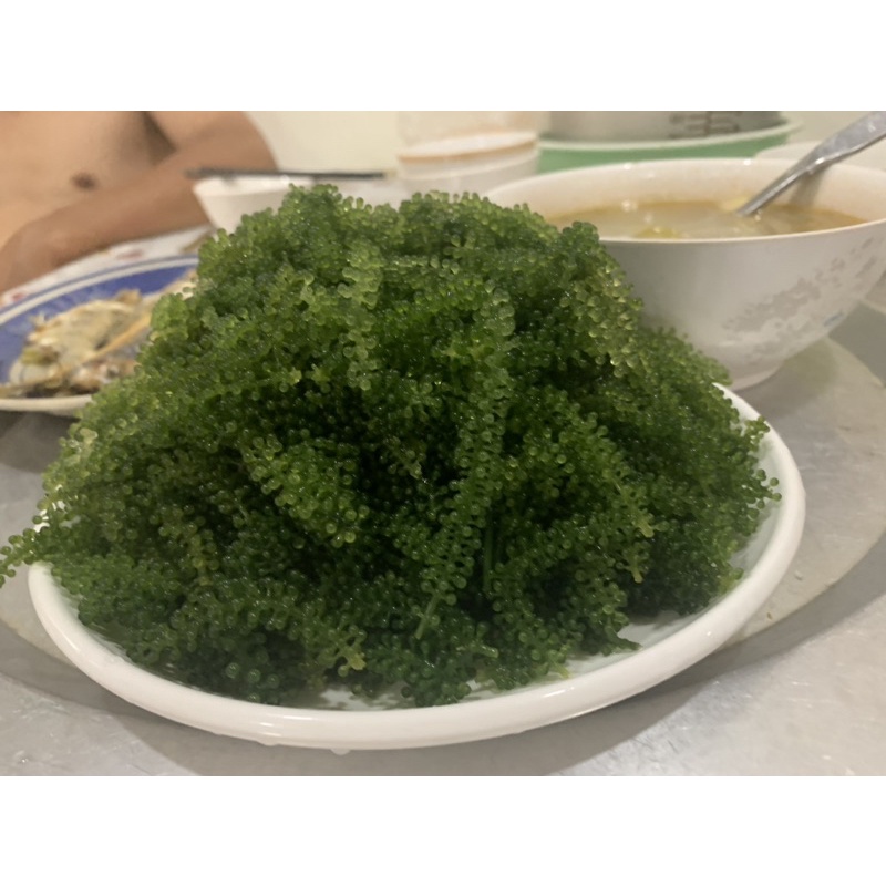 Sỉ 1kg rong  nho tách nước cách nhiệt loại 1 tiêu chuẩn xuất khẩu bao hàng siêu đẹp rong nho SEASON FOOD