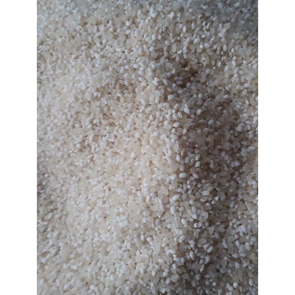 Nếp kay nọi Lào thơm dẻo ko ngán