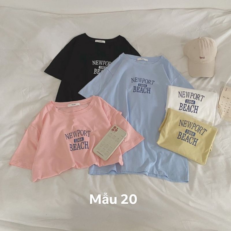 Áo pull tag sugar (nhiều hình)