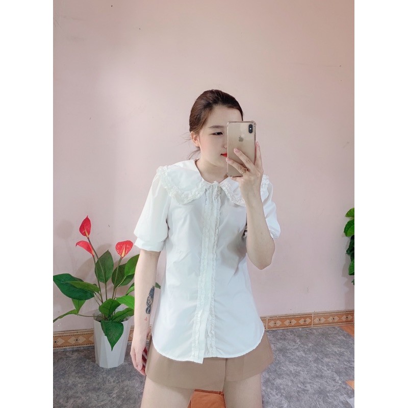 ÁO SƠ MI TAY CỘC CỔ SEN BÈO | BigBuy360 - bigbuy360.vn