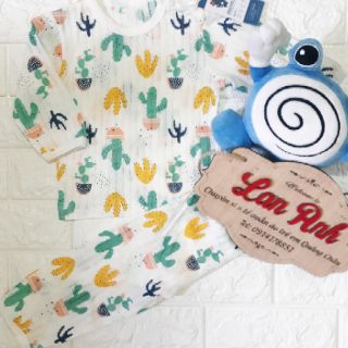 4 bộ cotton giấy