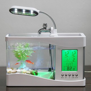 Bể cá mini để bàn kèm đồng hồ đèn LED tặng sỏi và cây trang trí