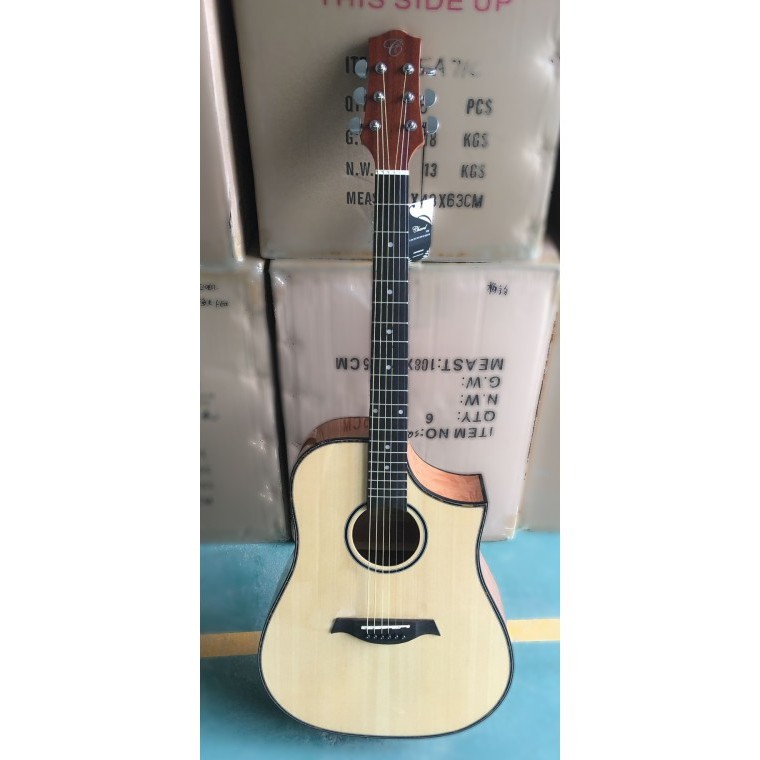 Guitar Chard C53