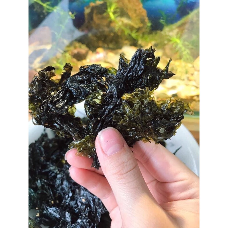 Rong Biển Sấy Khô Ăn Liền 100g - Ăn vặt ngon Hà Nội