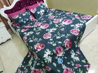 Chăn ga gối poly 1,6m