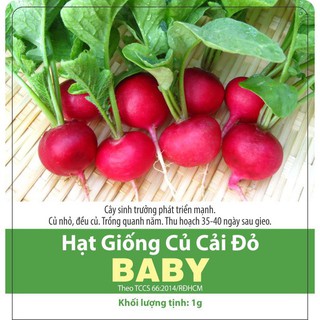 Hạt Giống Củ Cải Đỏ Mini - (Củ Cải Đỏ Baby) Giòn, Ngọt, Củ Nhỏ, Năng Suất Cao và Dễ Trồng - Gói 1gram