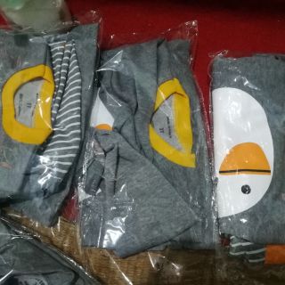 Bộ con voi