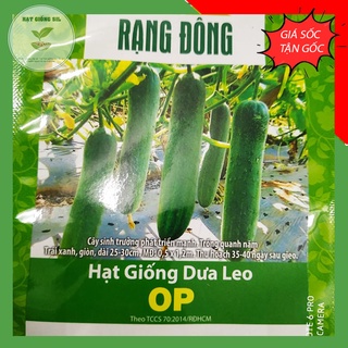 Hạt giống Dưa leo OP phát triển mạnh , trồng quanh năm