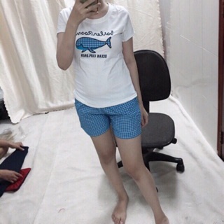 Bộ đùi thun phối kate