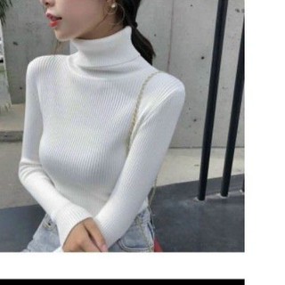 Áo Len tăm cổ lọ QC