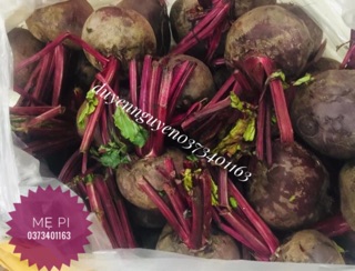 Bột củ dền sấy lạnh