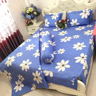 Bộ Ga gối Poly trần bông