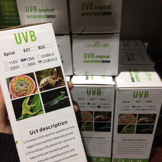 Đèn UVB dành cho Bò Sát