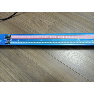 Đèn LED siêu rẻ bể cá cảnh