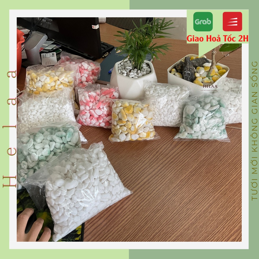 Sỏi Trang Trí Chậu Cây Trắng, Xanh, Đỏ, Vàng Màu, Sỏi Trang Trí Bể Cá, Đá Trang Trí, Decor Bàn Làm Việc