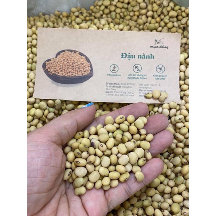 Hạt đầu nành Mục Đồng (1kg) - Hạt đậu nành giống cũ thuần chủng- Hương vị cũ ngày xưa