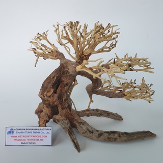 Lũa bonsai thuỷ sinh trang trí bể cá Size Nhỏ 25cx20cm BS08