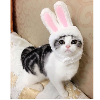 Nón Mũ Chùm Đầu Hình Thỏ Cho Mèo