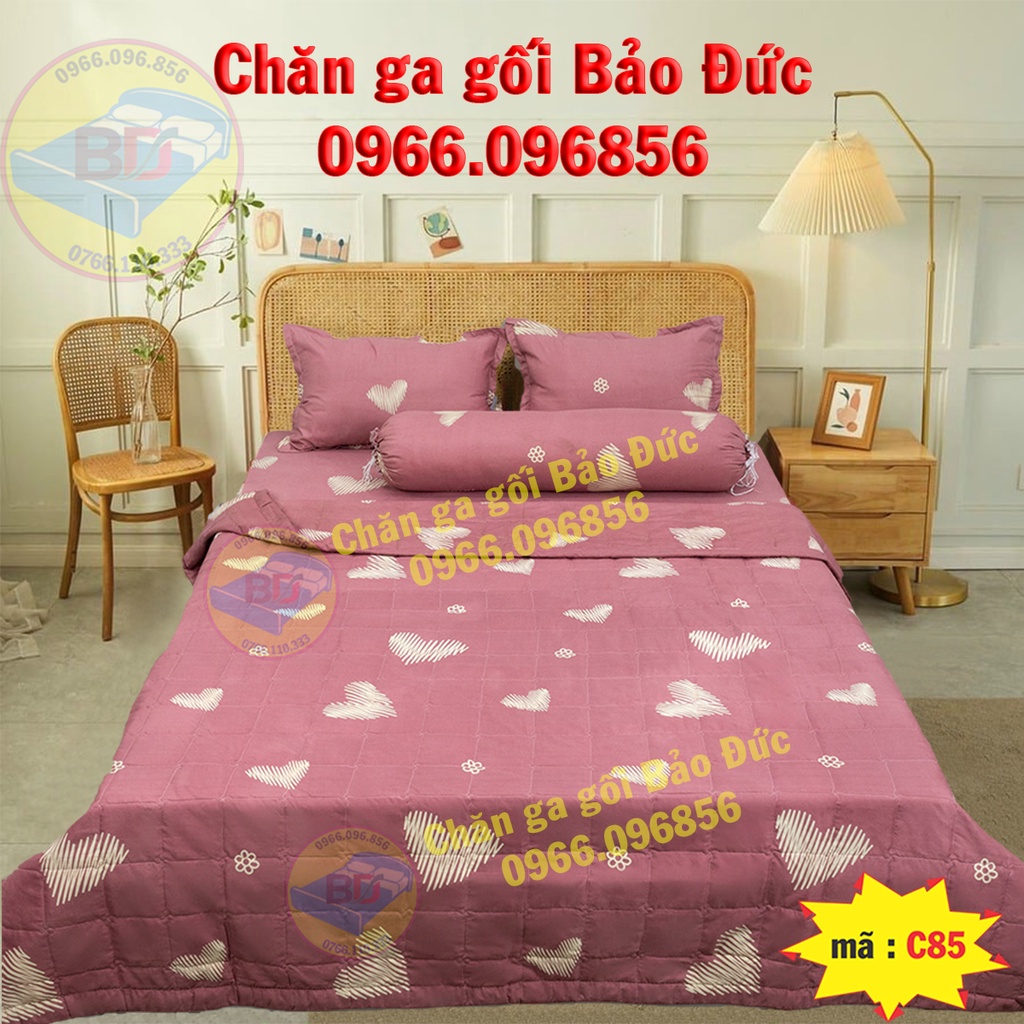 Chăn hè cotton poly ,mền trần bông 3 lớp,