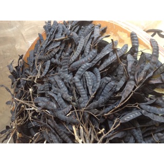 1 Kg Bồ kết khô hạt mẩy