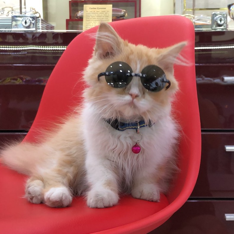 Kính Thuốc Số 1, Cửa hàng trực tuyến | BigBuy360 - bigbuy360.vn