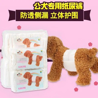 Tả cho cún đực