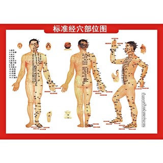 COMBO BỘ TẬP CHÂM CỨU VÀ LUYỆN LỰC