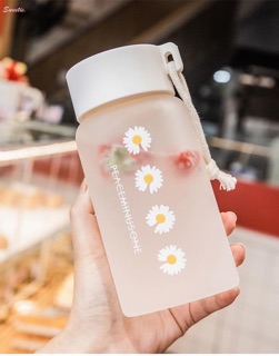 Bình nước hoa cúc