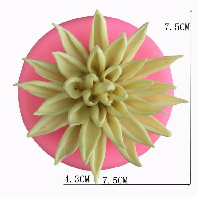 Khuôn silicon 4D Hoa súng 7cm