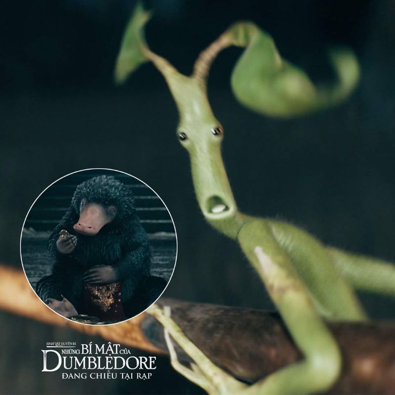 Thần tài Niffler, Pickett tài lộc  chính hãng Funko, vía thần tài