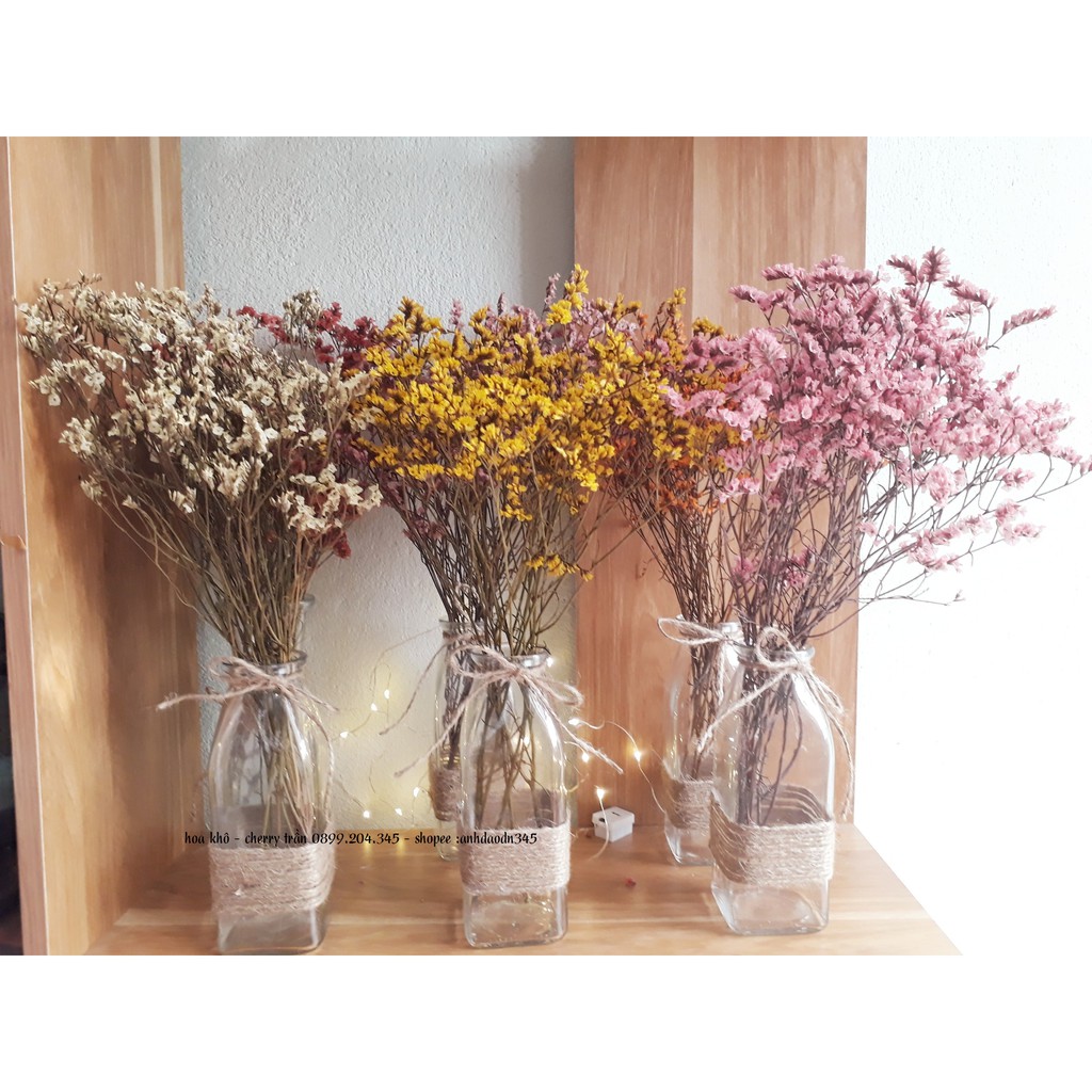lọ hoa sao khô(hoa thật sấy khô) decor, trang trí phòng
