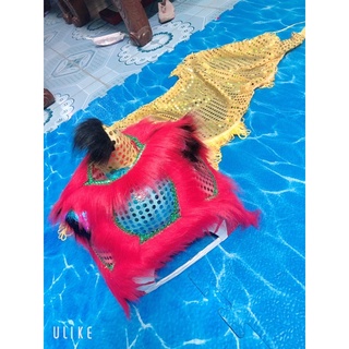 Đầu lân siêu rẻ