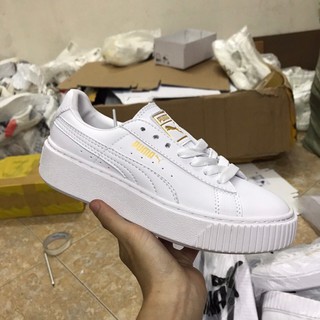 [SALE LẺ SIZE] Giày P.U.M.A vàng