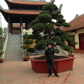 Xe Đẩy Hàng Chất Lượng Cao X.A