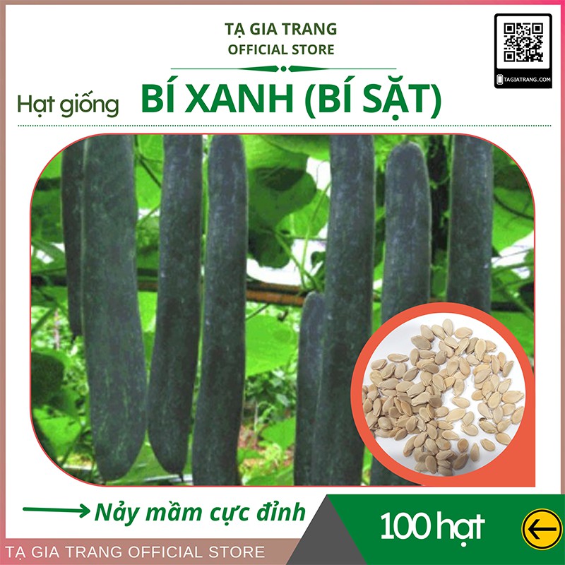 Hạt giống bí đao (bí xanh - bí sặt) cao sản