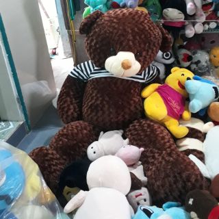 Gấu teddy xoắn hoa hồng.