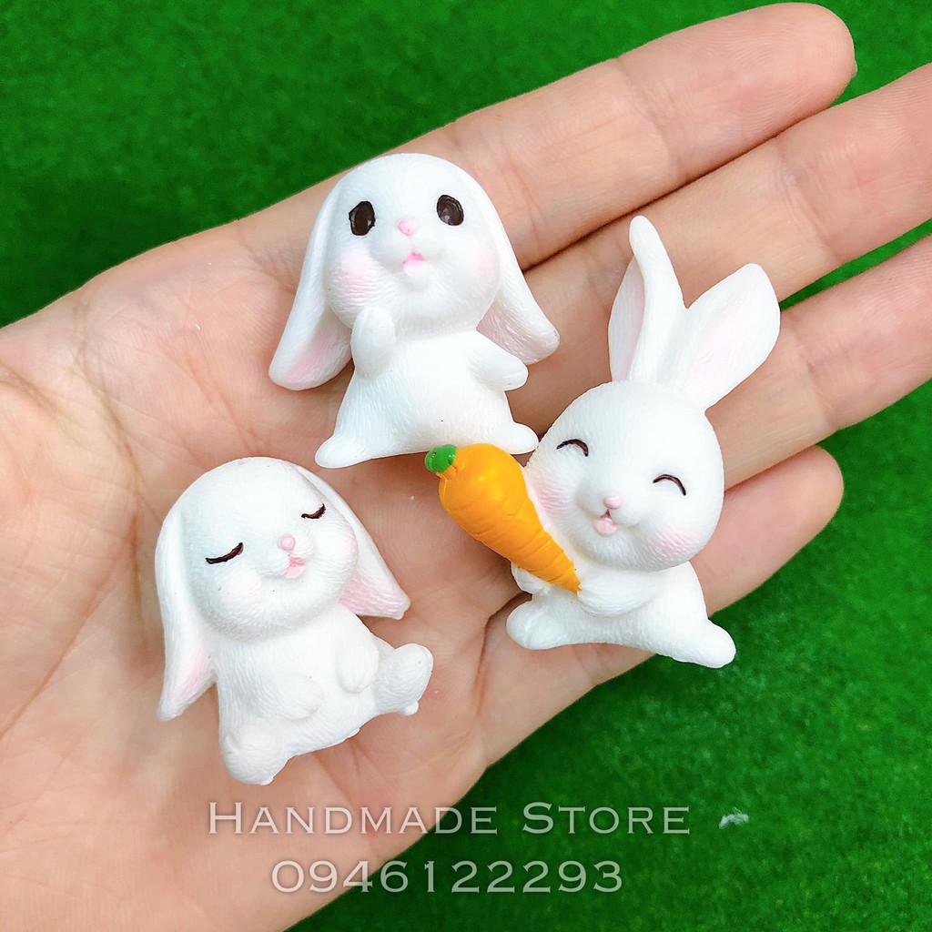 Mô hình thỏ trắng