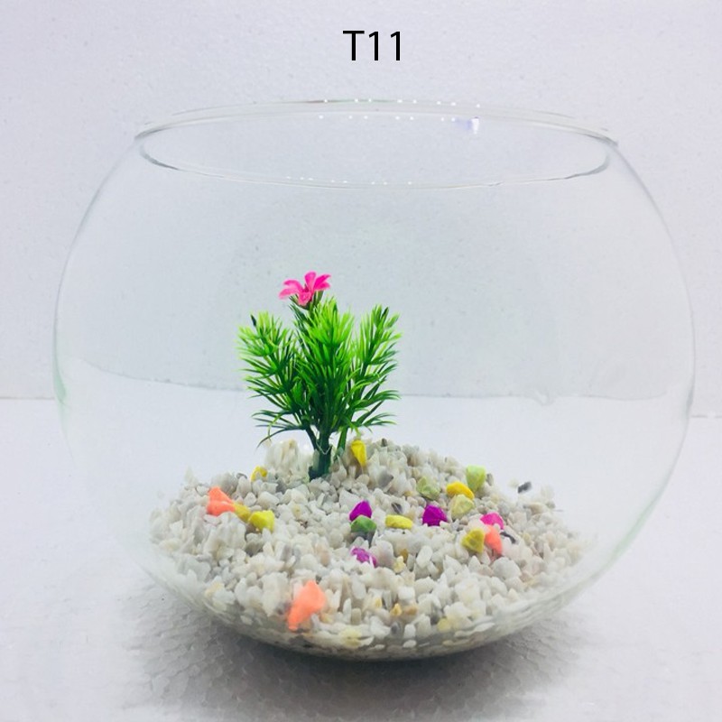 Bể cá mini TRÒN( TẶNG PHỤ KIỆN), chậu cá thủy tinh chọn mẫu